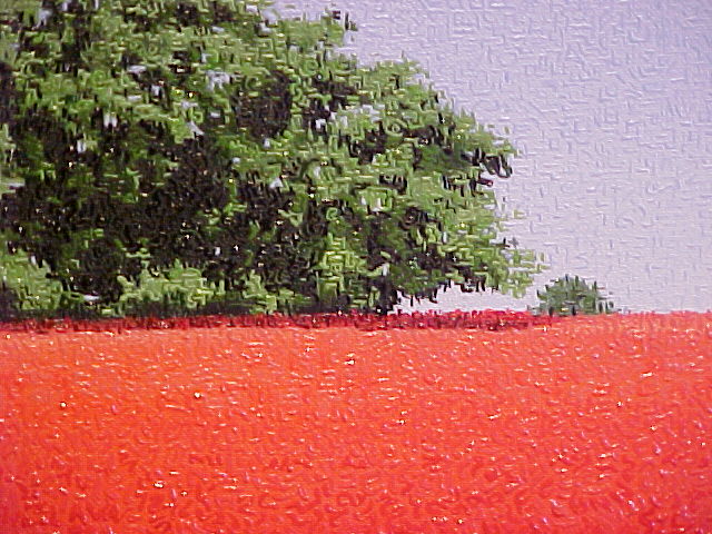 DeGraphi/j116x116-5555.jpg
