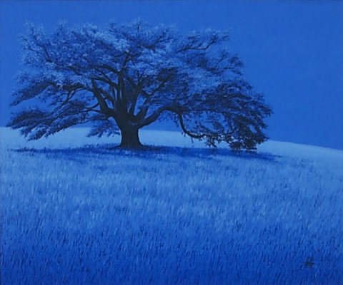 blue/J1312x1024-05554.jpg