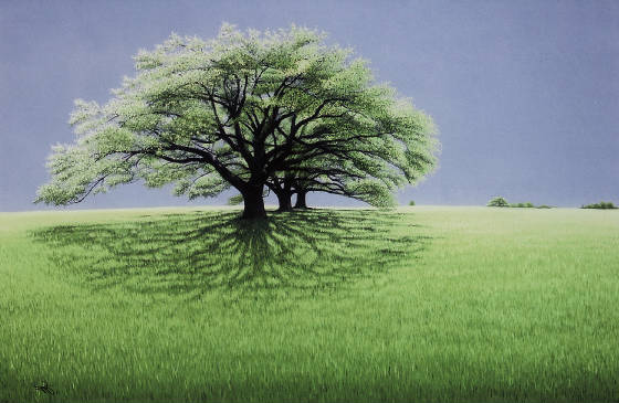 green/j1123x1144-1020.jpg