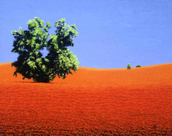 orange/J1338x1062-04017.jpg