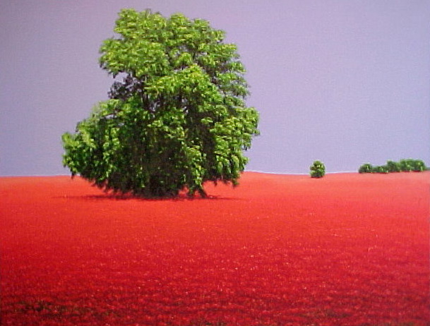 red/J1278x1050-03314.jpg