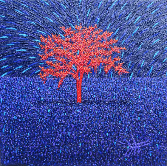 webassets/dgfallingstars8x8.JPG