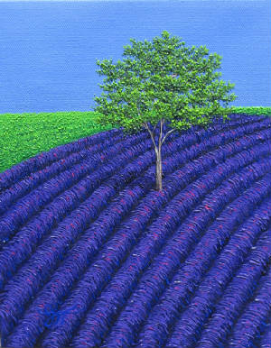 webassets/lavenderdreams8x10.JPG