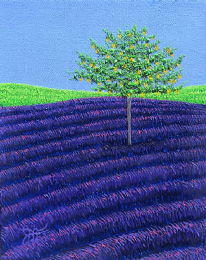 webassets/lemonsandlavender8x10.JPG