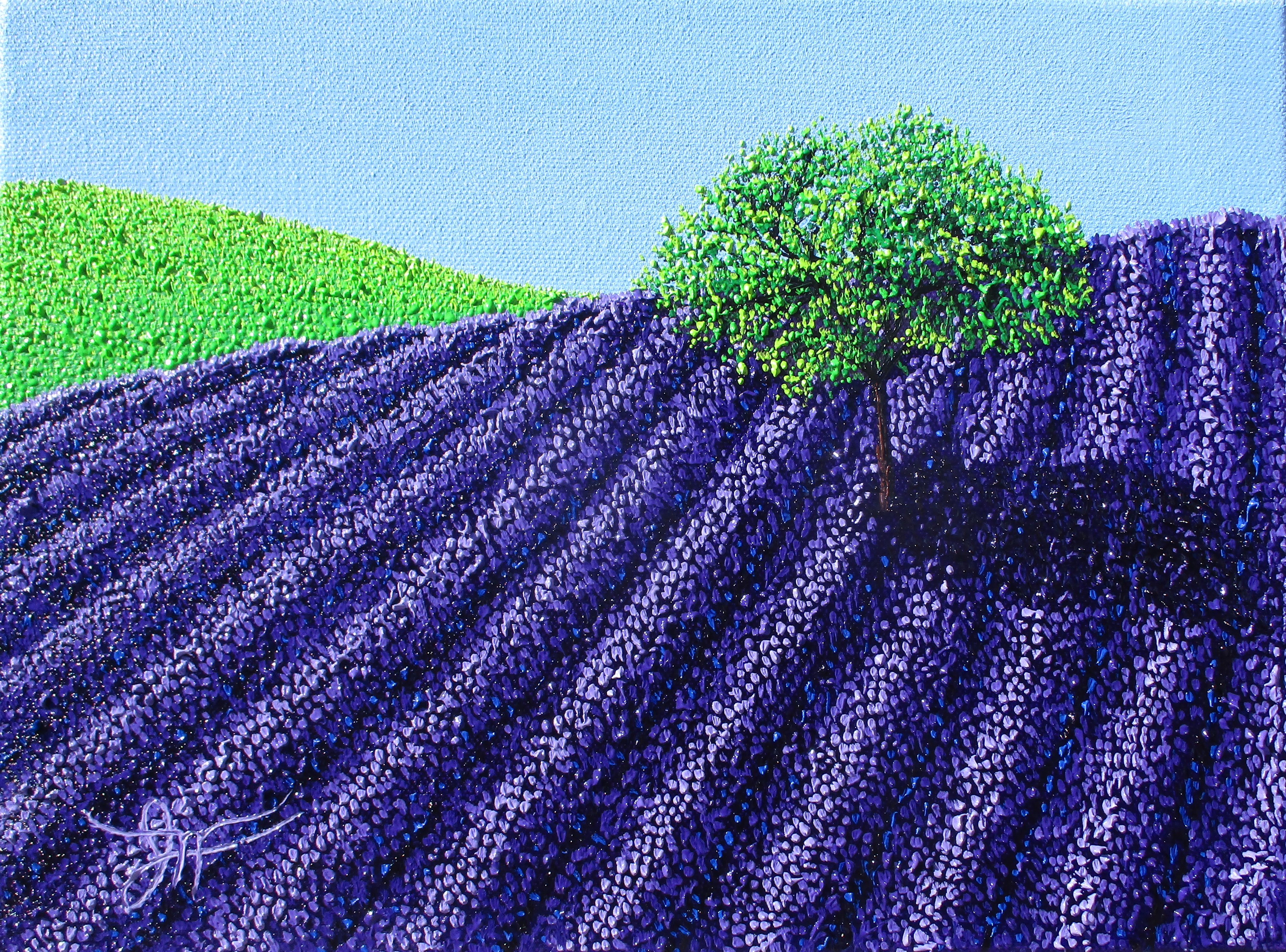 webassets/lavenderspring9x12.JPG