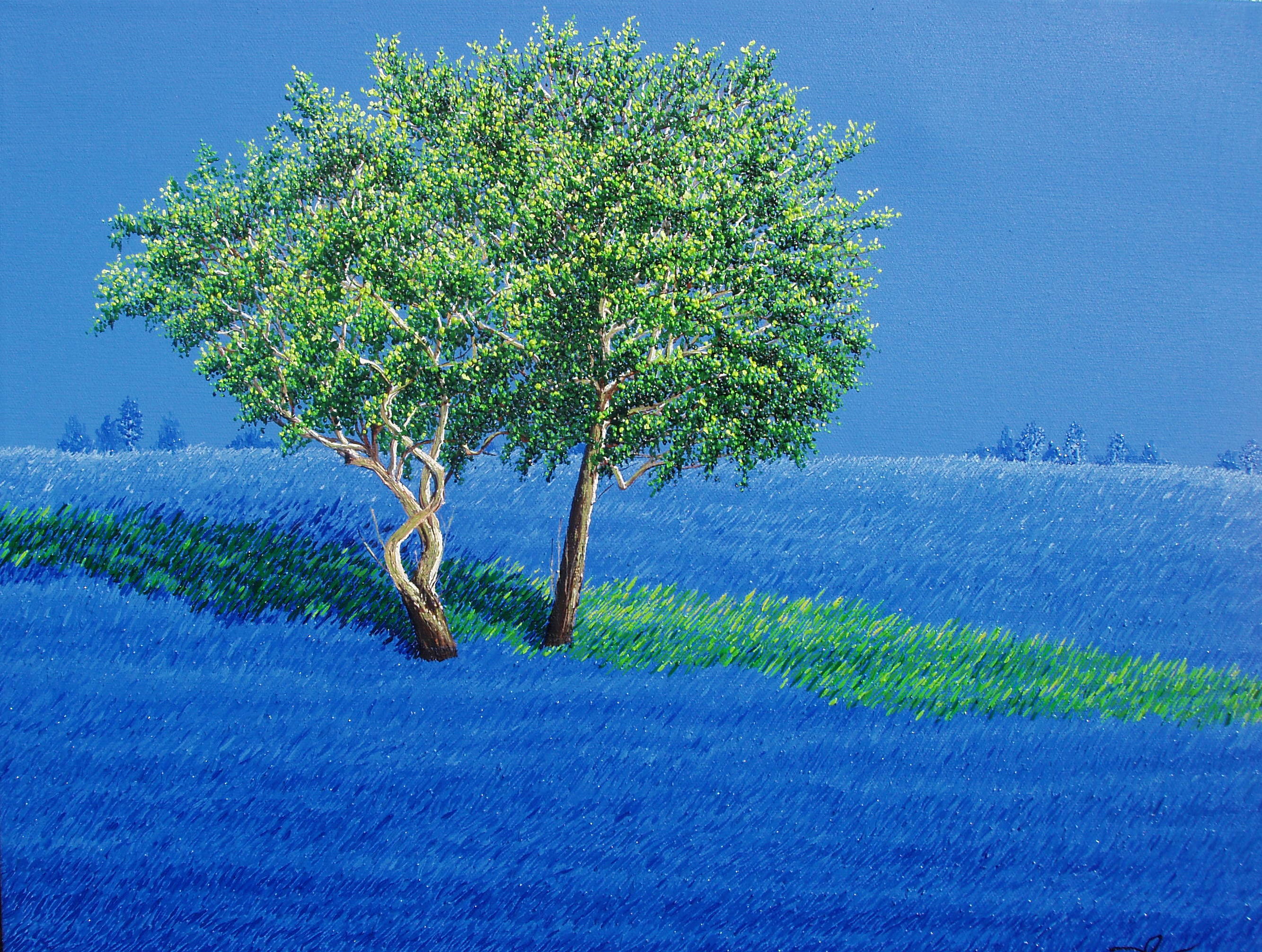 webassets/sycamores16x20.JPG