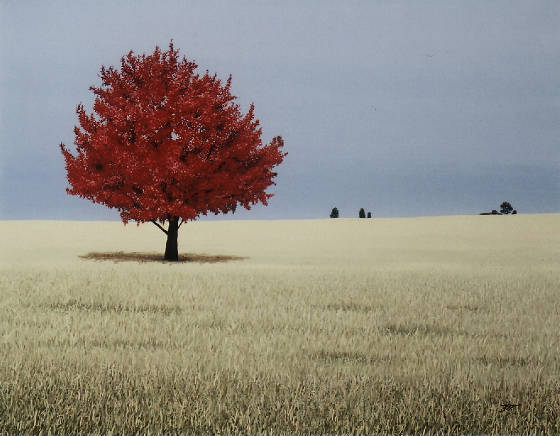 wheat/J1472x1140-10414.jpg