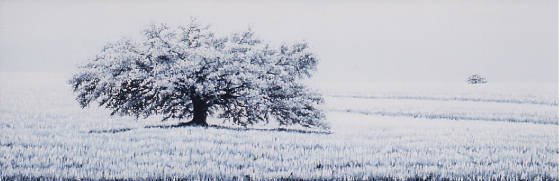 white/J161x199-03866.jpg
